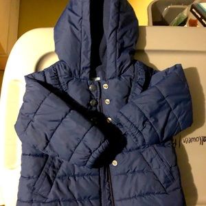 Girls Winter Gap Jacket 18-24 months